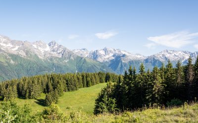 Alpes | Le Crêt du Poulet